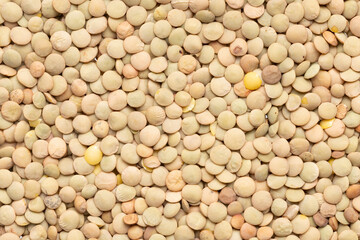Close-Up View of Dried Green Lentils Texture