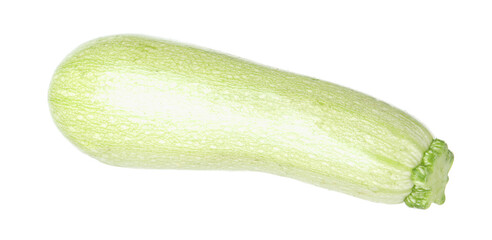 One fresh ripe zucchini isolated on white
