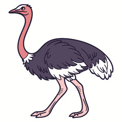 Obraz premium vector Drawing of Ostrich 
