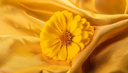Yellow Zinnia Flower on a Draped Soft Yellow Silk Fabric
