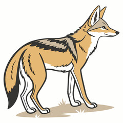 vector Drawing of Jackal 