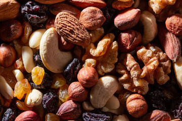 Mixed Nuts: Almonds, Walnuts, Cashews, Peanuts, Hazelnuts, Dried Prunes and Raisins. Different Nut Mix. Background from Various Nuts and Dried Fruits