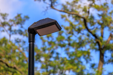 A street light is lit up in a park