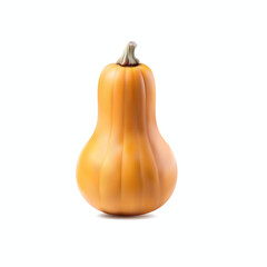 Honeynut Squash or pumpkin 3d vector