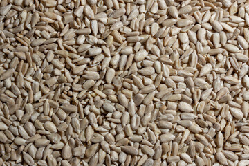 Peeled Sunflower Seeds Background: A Culinary Canvas of Shell-free Sunflower Seeds, Creating a Lively and Textured Background for Gourmet Cooking - Top View, Flat Lay