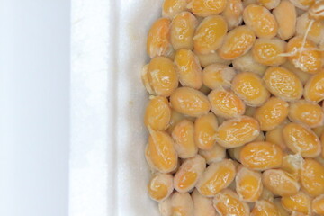 納豆 (Natto) の糸引き