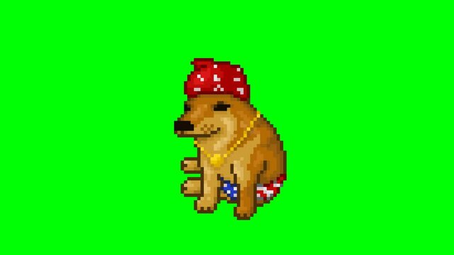 Dog in swimsuit, pixel art meme animation
