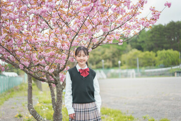 ピンクの花が咲く木の前で立つ女子中学生