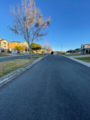 Autumn Street