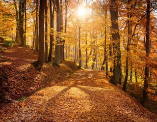 Winding Path Through Golden Autumn Woods