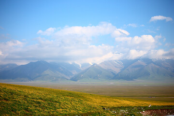 The scenery of Yili, Xinjiang, China in summer