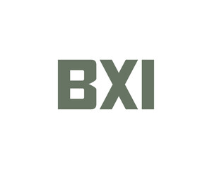 BXI logo design vector template. BXI