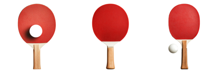 Exploring the Dynamics of Table Tennis A Visual Journey Through the Game's Essential Elements