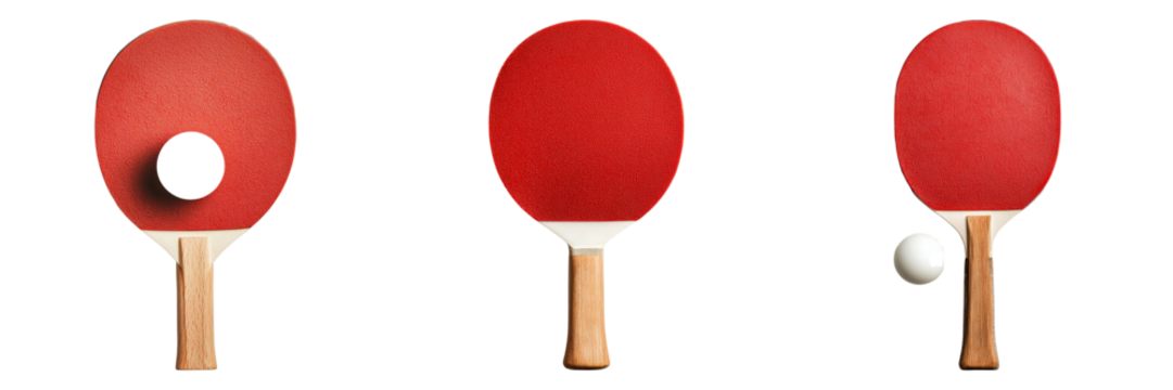 Exploring the Dynamics of Table Tennis A Visual Journey Through the Game's Essential Elements