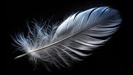 Obraz premium Black feather isolated on black background, feather, black, isolated, dark, elegant, delicate, soft, natural, decoration