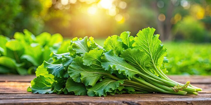 Freshly harvested mustard greens in a garden , leafy greens, vegetable garden, healthy eating