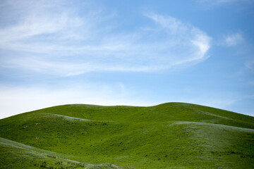 The scenery of Yili, Xinjiang, China in summer
