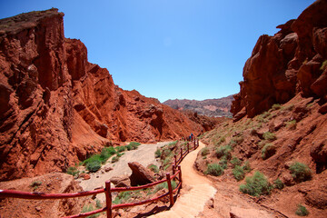 The scenery of Yili, Xinjiang, China in summer