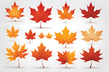 Obraz premium autumn leaves background, red and yellow stars, maple leaves isolated on white