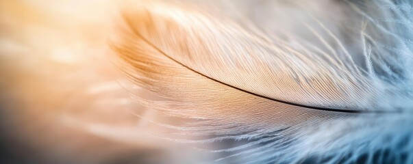 Obraz premium Closeup of natural textures found on a feather, showcasing delicate lines and fine details with a soft blurred background