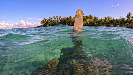 Propeller of WWII fighter plane protruding from water in Chuuk Lagoon, Micronesia © Kaitlind