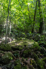 Obraz premium Yap Coin Giant Stone Money found in Rock Islands of Palau