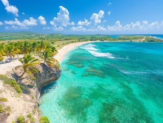 A stunning tropical beach with clear turquoise waters and lush palm trees.