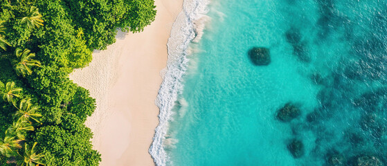 Aerial View of Tropical Beach and Coral Reefs