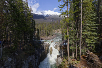 Sunwapta Falls on a Sunny Spring Day
