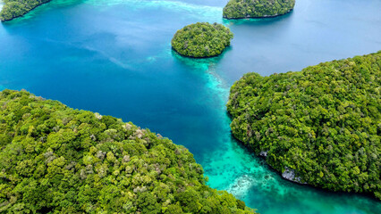 Aerial View of the blue waters and lush greenery of Palau's Rock Islands
