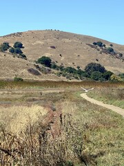 Fototapeta premium landscape in the mountains