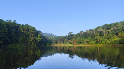 A serene lake reflects a dense forest of tall green trees on a clear day.