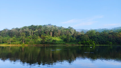 A serene lake reflects a dense forest of tall green trees on a clear day.