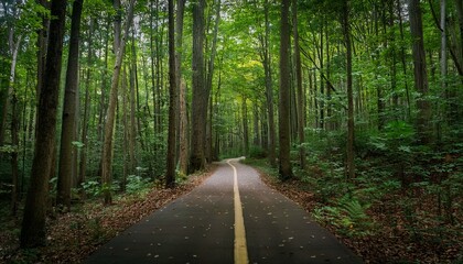 Fototapeta premium A bike trail leading through lush trees