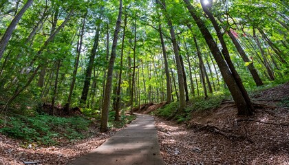 A bike trail leading through lush trees