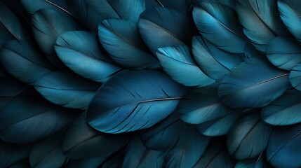 Obraz premium Vibrant teal and black feathers create a dramatic close-up of natural patterns, making a minimal yet striking abstract composition.