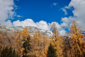 Landscape of Siguniang mountain or Four girls mountains with ,located in the Aba Tibetan and Qing Autonomous Prefecture in western Sichuan of China.