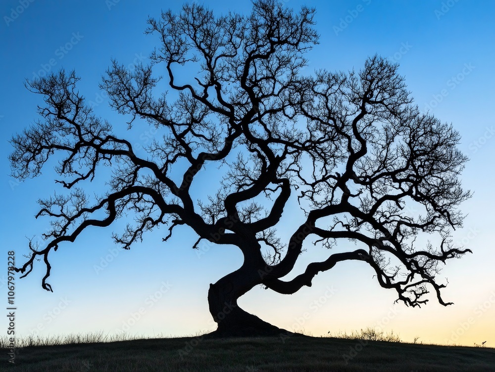Aufkleber a tree with branches that twist and curl in unexpected ways, creating a unique silhouette