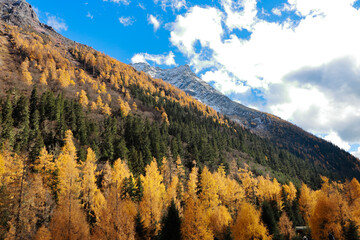 Landscape of Siguniang mountain or Four girls mountains with ,located in the Aba Tibetan and Qing Autonomous Prefecture in western Sichuan of China.