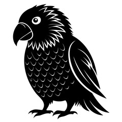 Kakapo black silhouette Vector illustration isolated on a transparent background