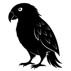 Obraz premium Kakapo black silhouette Vector illustration isolated on a transparent background