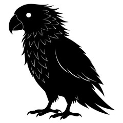 Kakapo black silhouette Vector illustration isolated on a transparent background