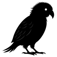Kakapo black silhouette Vector illustration isolated on a transparent background