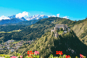 landscape with flowers