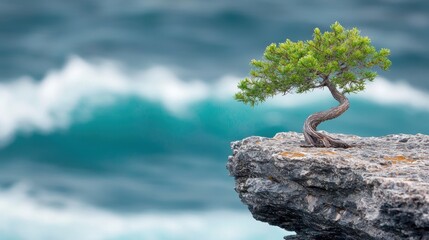 Fototapeta premium A single weathered pine tree clinging to a rocky cliffside, overlooking a dramatic ocean vista with crashing waves below.