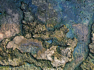 The floor is made of cracked and mossy cement, creating an interesting texture to photograph and use as a background image.