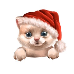 Cute white cat in Santa hat. Christmas illustration