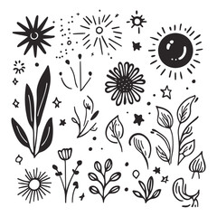 Fototapeta premium Hand-Drawn Floral Elements Including Leaves, Flowers, and Sunbursts