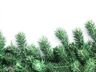 Obraz premium Christmas tree planting with horizontal border background.