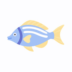 fish on a white background